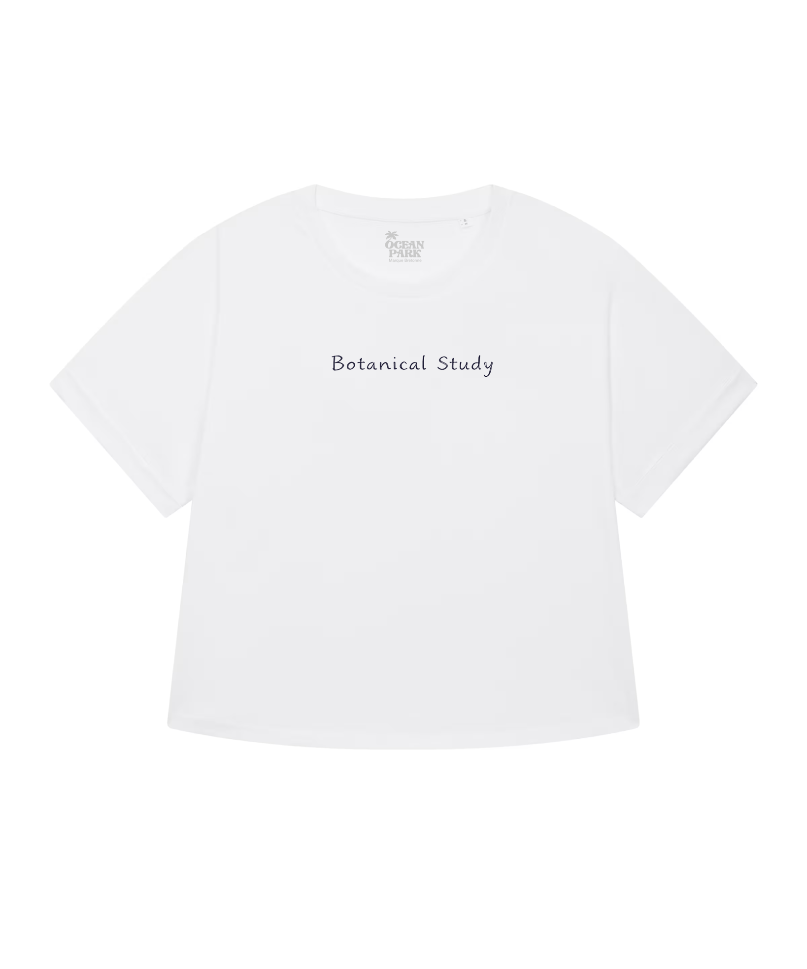 T-shirt Oversized Women Botanical Study - Ocean Park